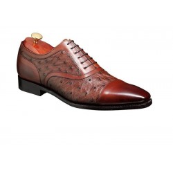 Barker 326626 Puccini brown...